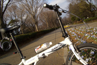 DAHON SPEED P8