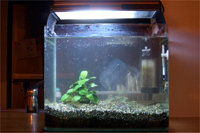 スペースパワーフィット