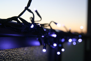 LED イルミネーション