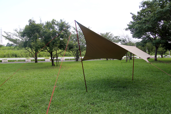 ムササビウイング