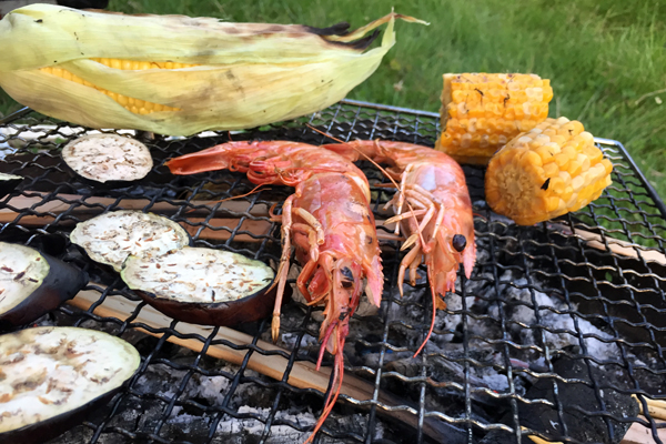 ムササビウイング