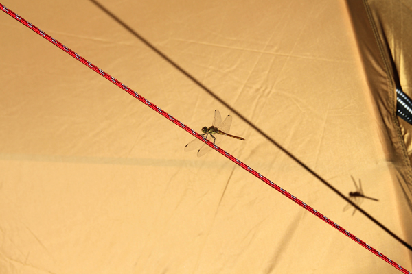 丸沼高原オートキャンプ場